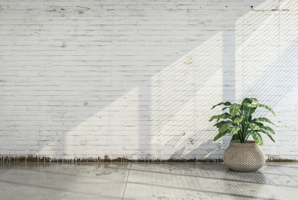 Bumps. 6 Plant White Wall Banner E1705947929392