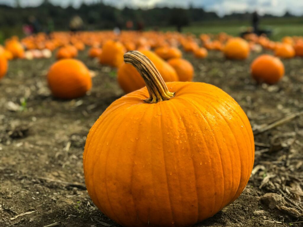 mortgage-craft-2026-events-harvest-days